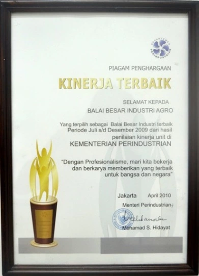Penghargaan Kinerja Terbaik 2009